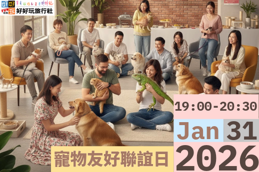 透過互動遊戲讓毛孩先打開氣氛，降低主人的尷尬成本，讓聯誼變得更流暢自然。