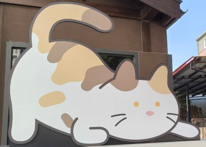 單身貓派對.開場囉